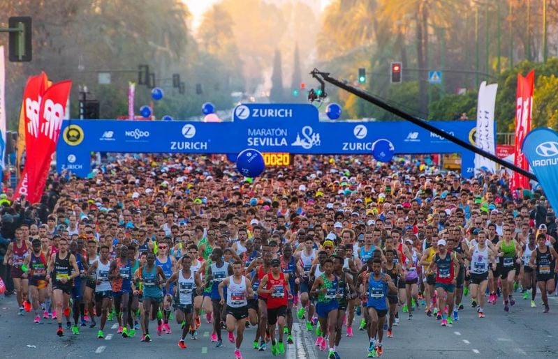 Elite Field Zurich Marathon de Sevilla 2024 Watch Athletics